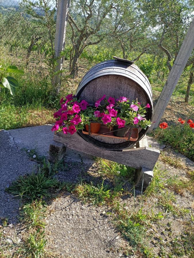 Agriturismo Macchia Dei Briganti - B&B Montefalcione 外观 照片