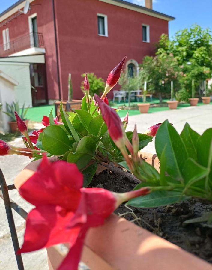 Agriturismo Macchia Dei Briganti - B&B Montefalcione 外观 照片